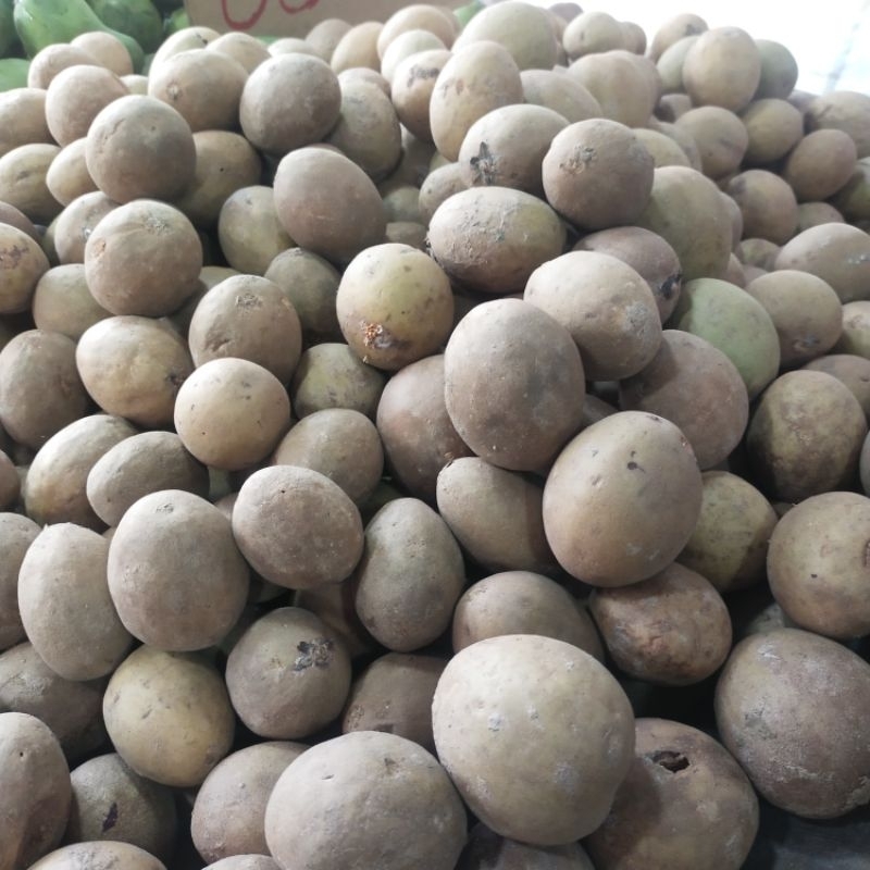 

Sawo Madu /Manis (berat 1kg)