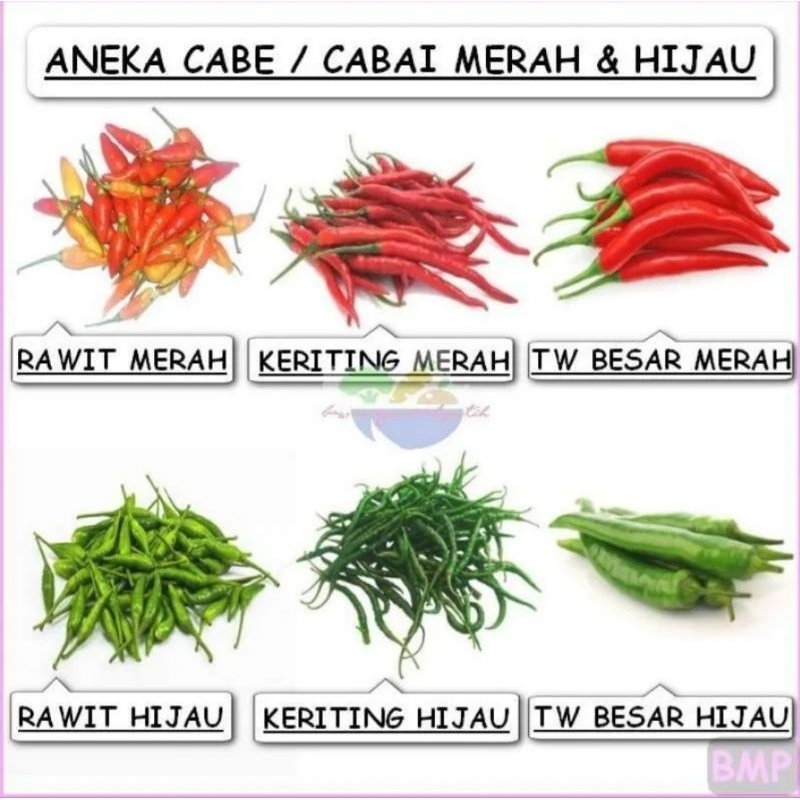 PAKET HEMAT ANEKA CABE RP 10.000/CABE RAWIT MERAH/CABE RAWIT HIJAU/CABE TW MERAH BESAR/CABAI