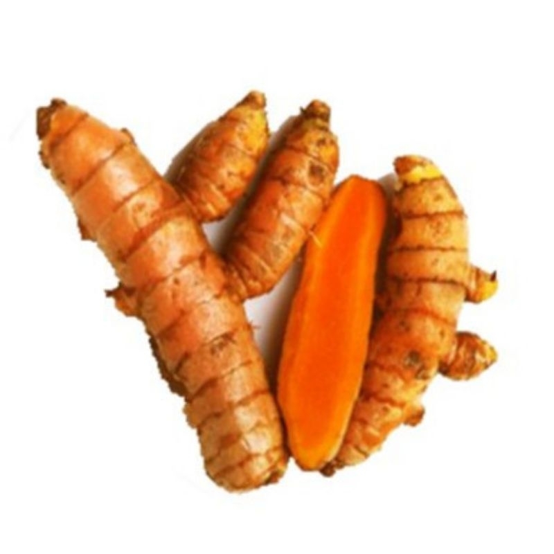 

Kunir,kunyit (turmeric) 10gr