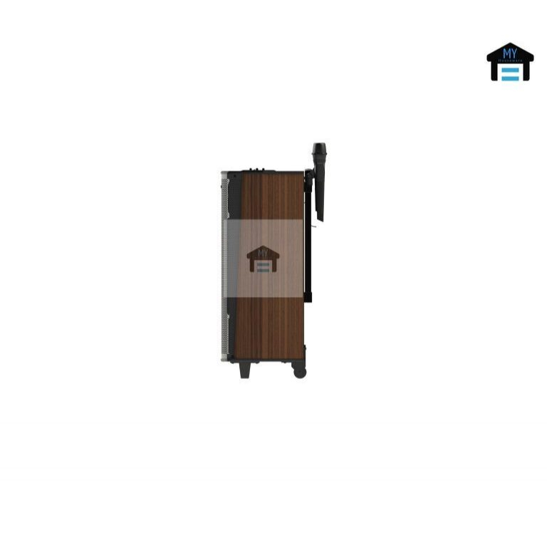 AUDIO POLYTRON (PAS PRO 12F6)