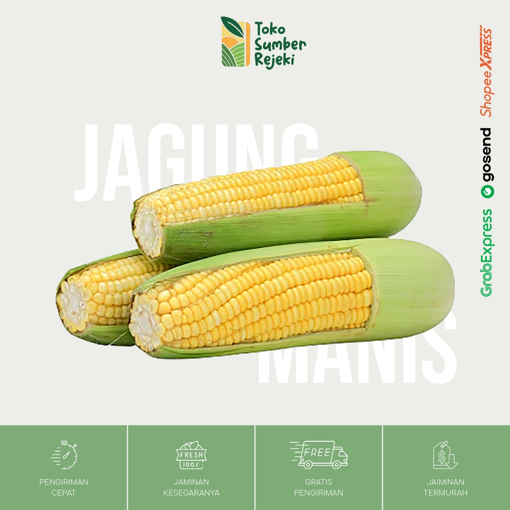 

Jagung Manis Segar - Toko Sumber Rejeki Yogyakarta