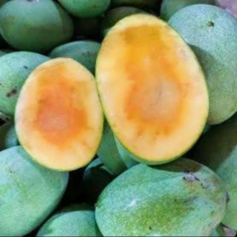 

Mangga Manalagi 1 kg