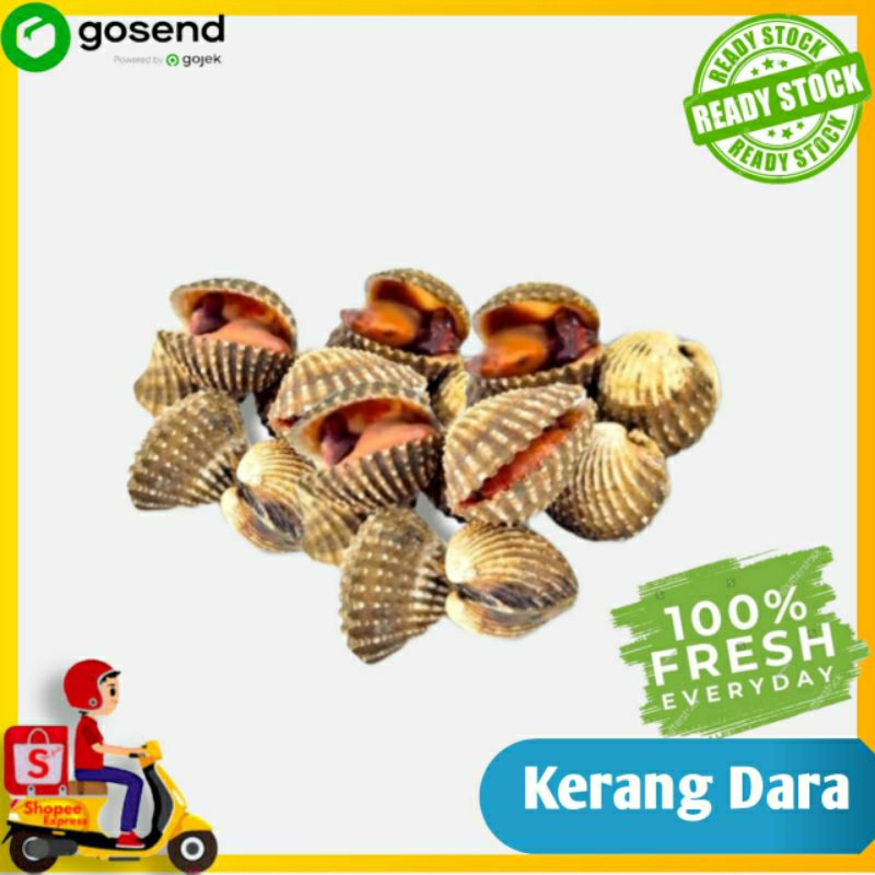 

kerang Dara - kerang dara kupas - seafood segar - Tukang Sayur Palembang