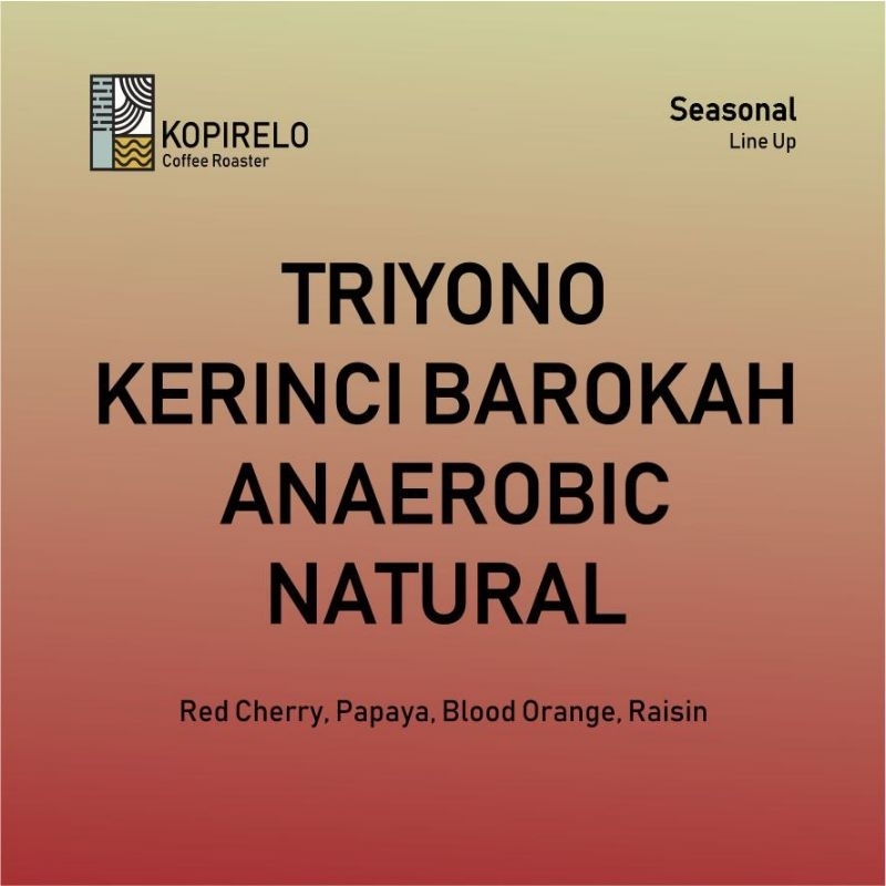 

Kopi Arabika Filter Kerinci Anaerobic Natural 200 gr