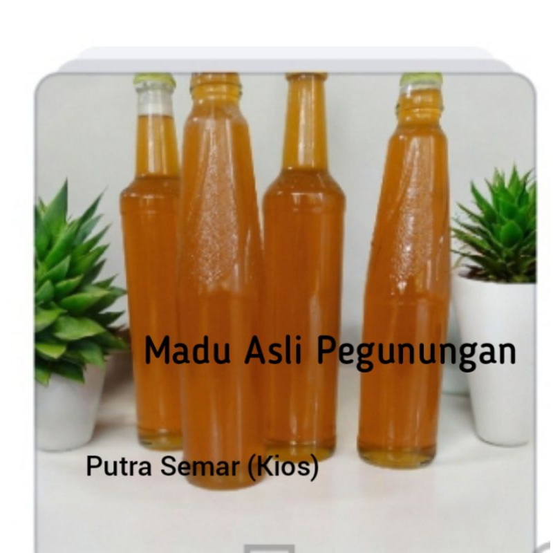 

Madu (Odeng) hutan asli.Madunya Uyut Pajampangan.100% dijamin kemurnian ny