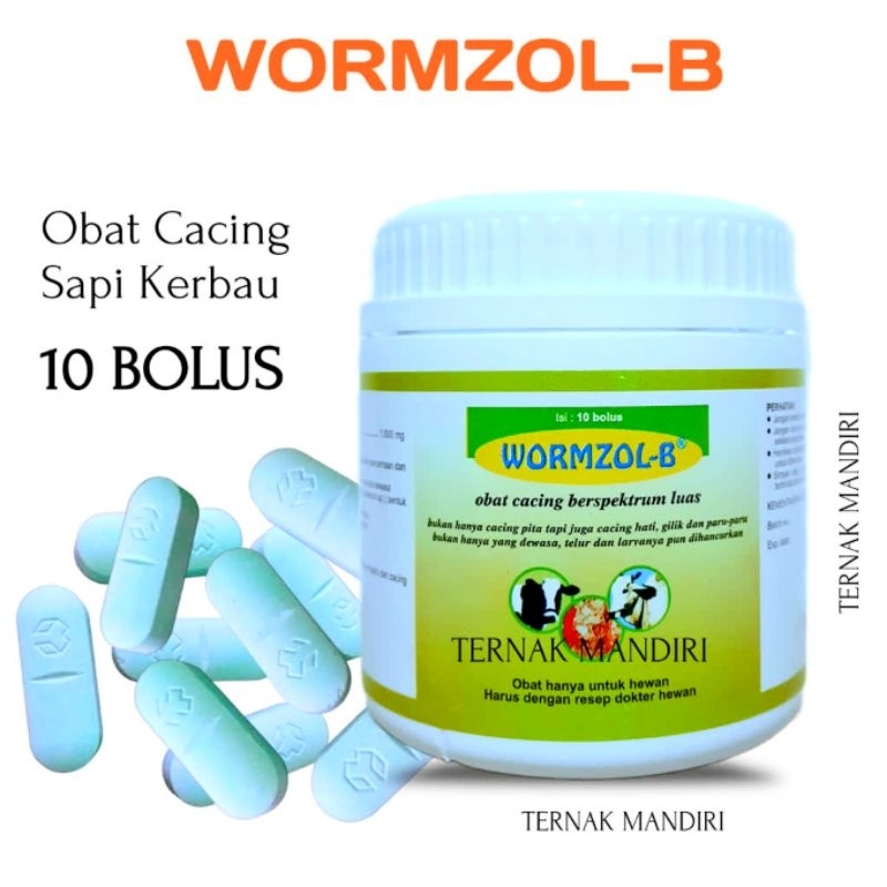WORMZOL B ISI 10 KAPLET Obat cacing sapi kerbau