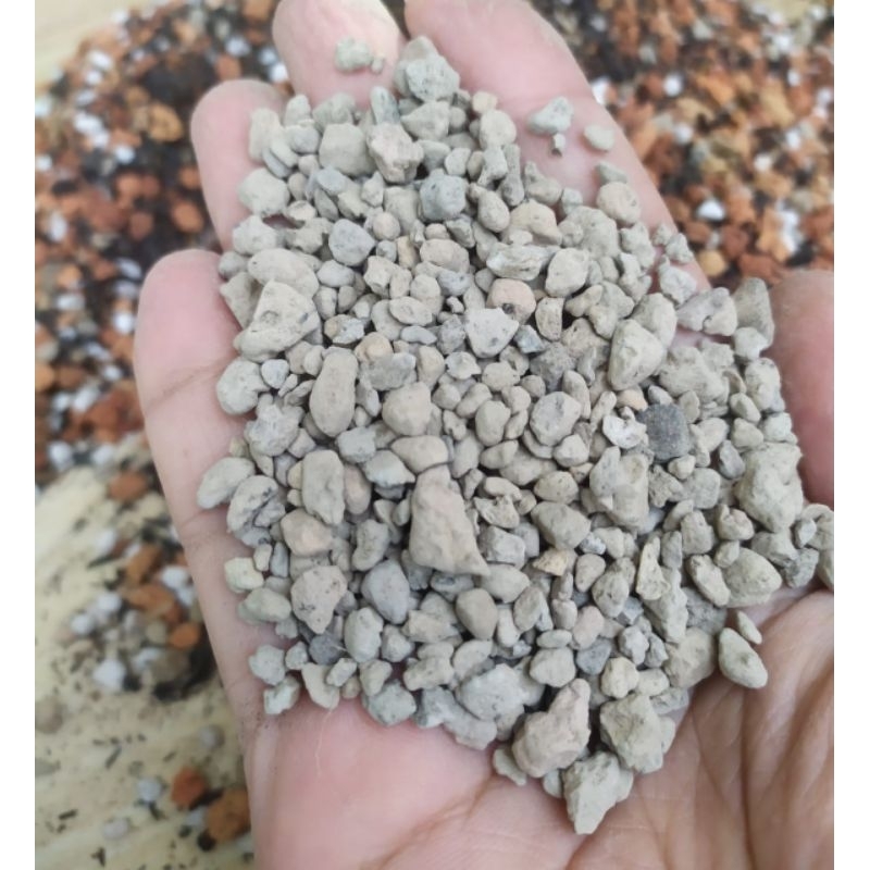pumice batu lombak 1 kg BATU APUNG MEDIA TANAM AGAVE KAKTUS LITHOPS SUKULEN