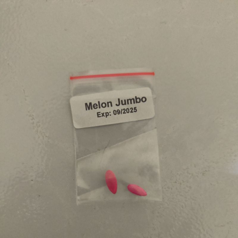 

bibit Melon Jumbo