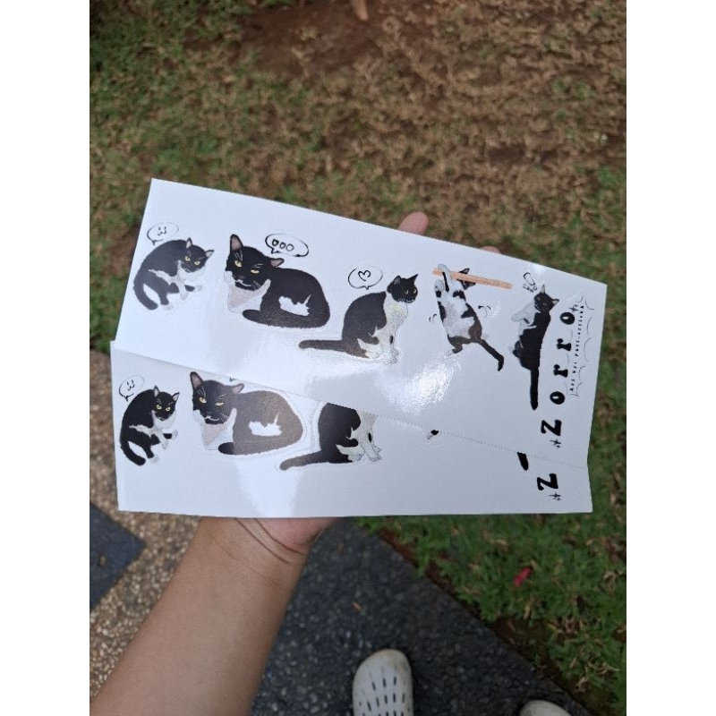 

Zorro the cat sticker By Merchiees