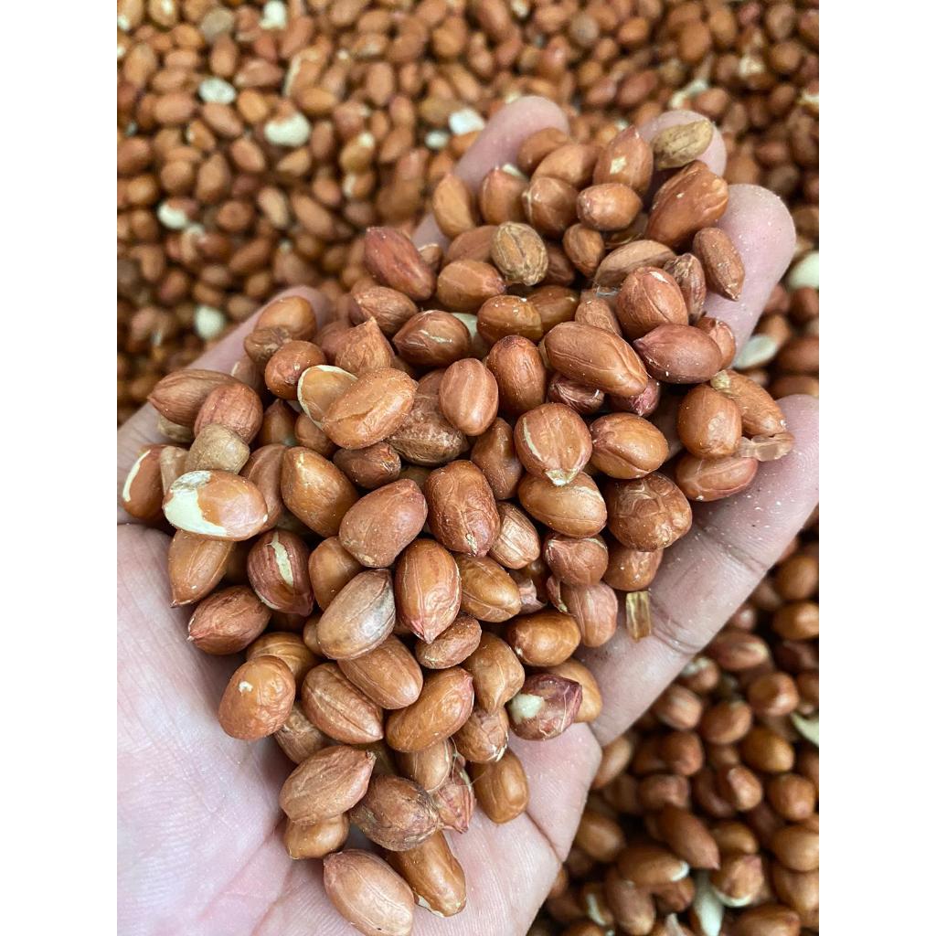 Kacang Tanah Kulit Asli Tuban