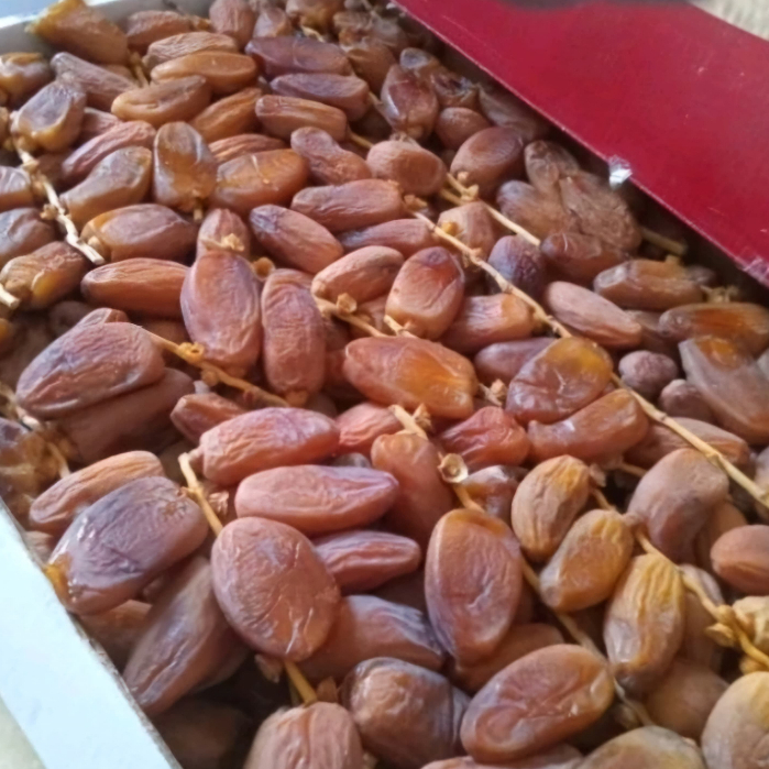 

kurma tunisia tangkai kemasan 5 kg