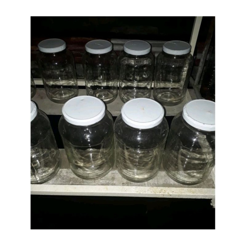 Preloved Toples Kaca Serbaguna / Toples Kue / Toples Kedap Udara / Toples Kaca Besar / Toples Manisa