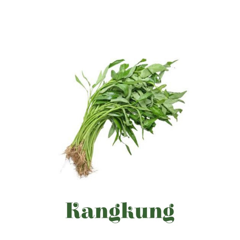 

Kangkung 1 Pack