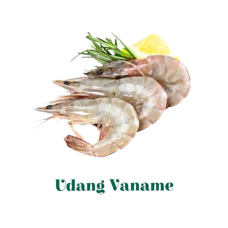 

Udang Vaname 1 Pack