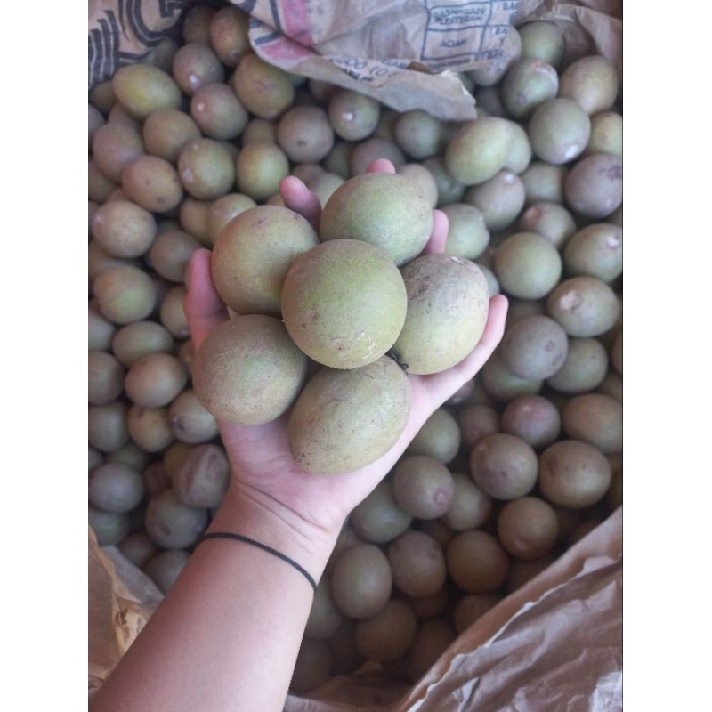 

sawo madu fresh selalu /1kg