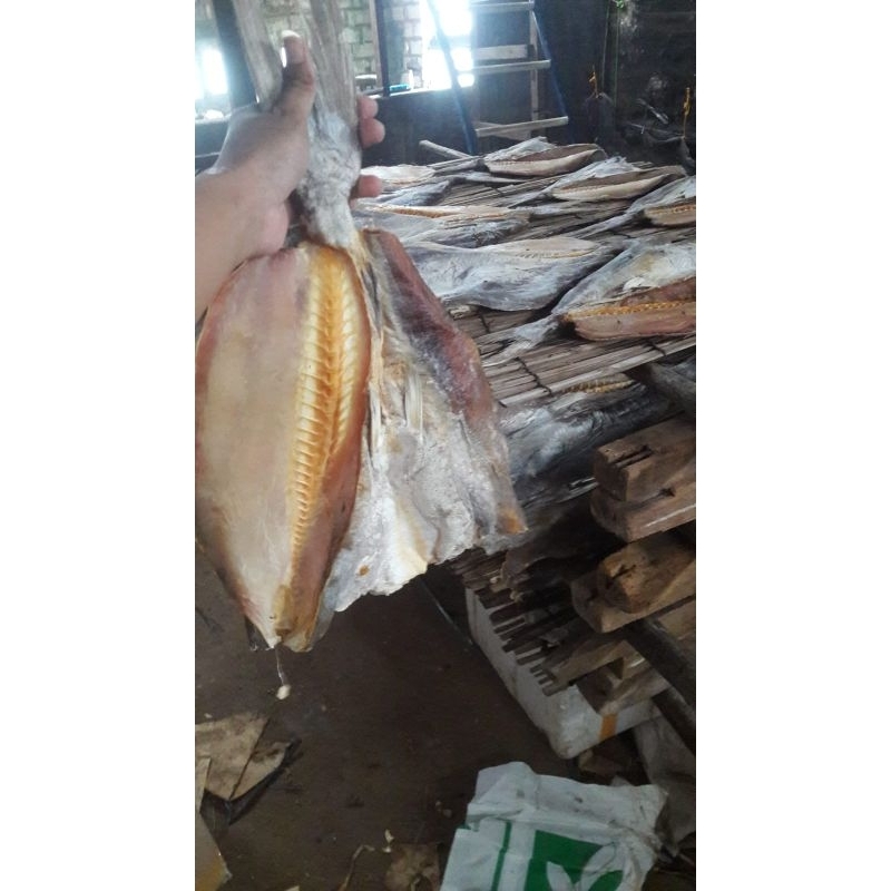 

jambal roti ikan manyung super
