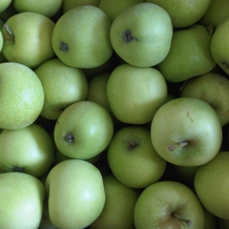 

Apel Malang Manalagi berat 1kg