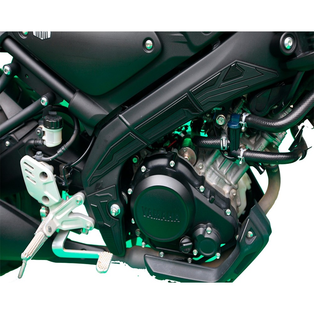 Hayaidesu XSR 155 Body Protector Delta Box Cover