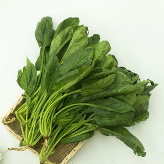 

LOLA Langsung Order Langsung Antar Bayam Jepang Horenzo Horenso Poling Pueleng 250 gr