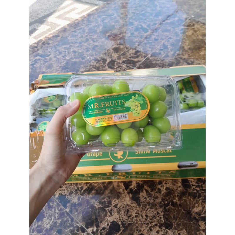 

anggur hijau /gr hanya instant shopee
