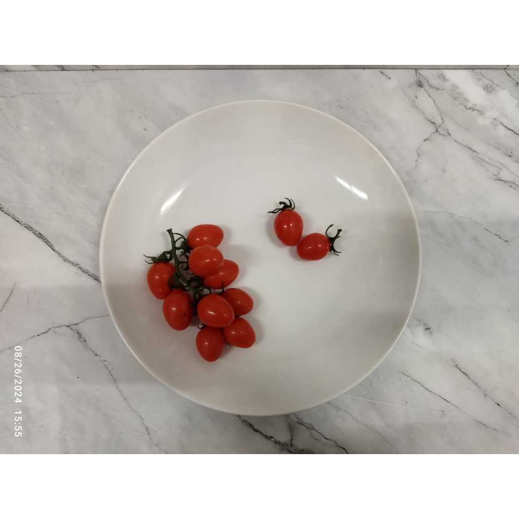 Legacy Piring Pasta Sup Bulan Keramik Merk Legacy 30cm CPA001