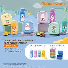 Tupperwere fancy bottle 350ml dan cutie box ( set )