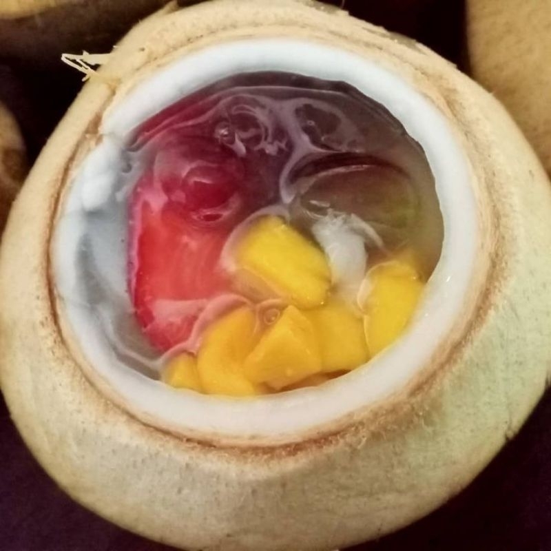 

KELAPA PUDING BUAH, KELAPA AGER, KEPAGER BATOK BUAH