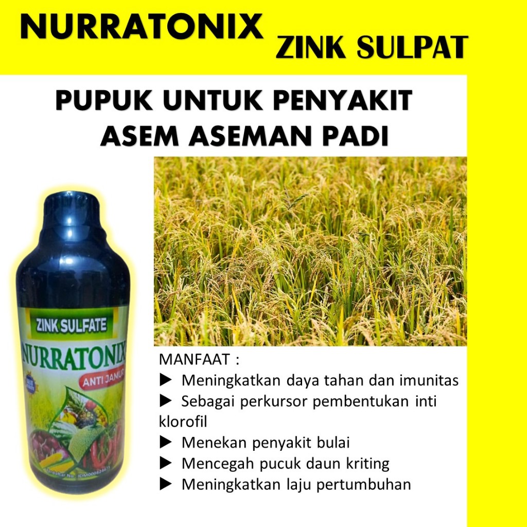 zing nurratonik 500ML Pupuk Anti Asem-Aseman Padi Paling Manjur, Obat Pelebat Padi Anti Penyakit Ham