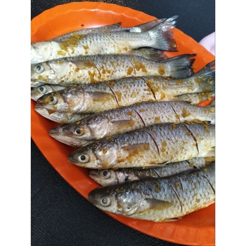

ikan blanak marinasi