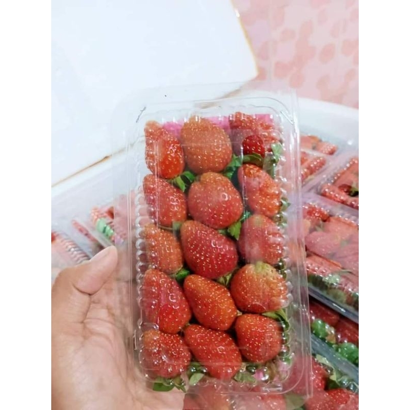 

Buah Strawberry samarinda