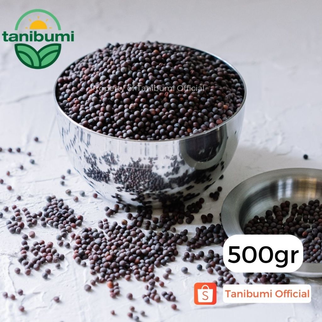 

500g | Premium Black Mustard Seed Import | Biji Sawi / Sesawi / Moster Hitam