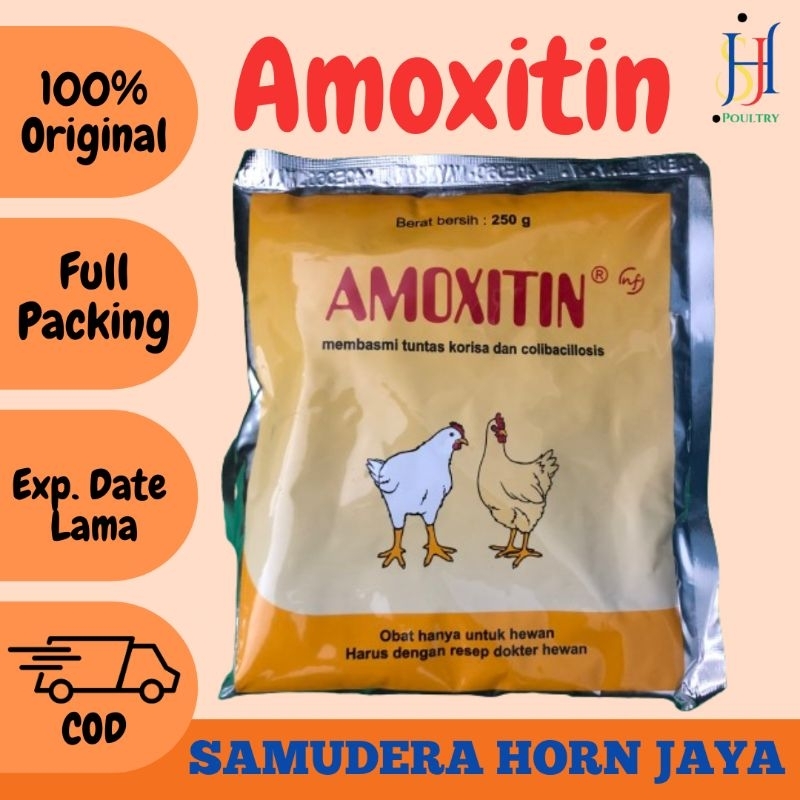 Amoxitin 250 gr Obat Ayam Pilek Ngorok