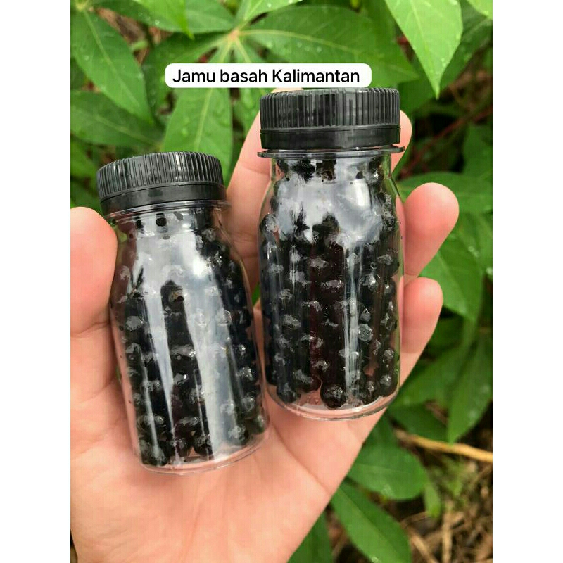 

JAMU BASAH KALIMANTAN