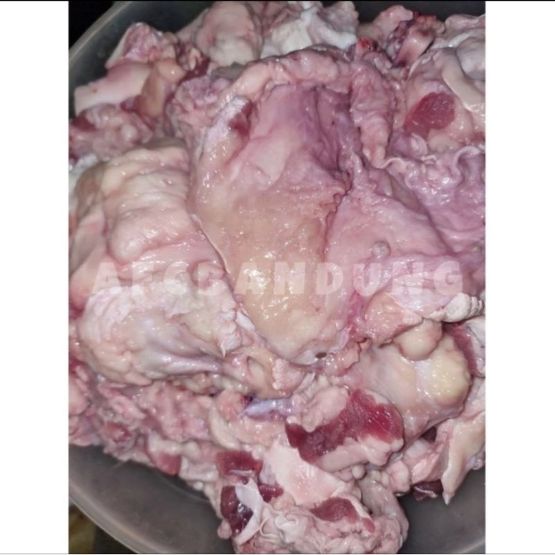Cocod Sapi Urat Sapi segar 500gr Dengkul sapi fresh 500gr