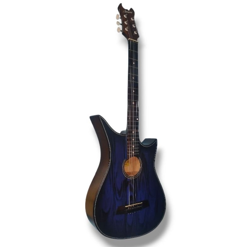 Gitar Akustik Butanza Original schecter