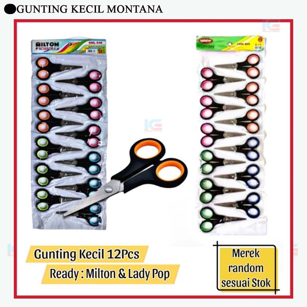 

12 PCS GUNTING KECIL STAINLESS STEEL GROSIR