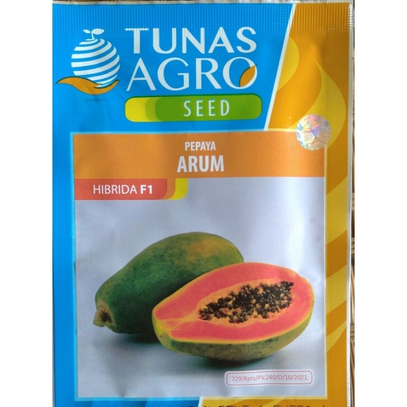 BENIH PEPAYA ARUM 1 GRAM TUNAS AGRO SEED