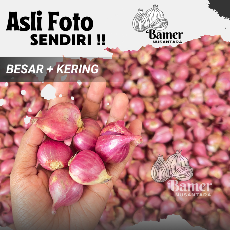 

Bawang Merah Probolinggo 1/2 KG 500 GR Termurah Sedang Kering Nganjuk Tidak Mudah Busuk Gratis Ongkir Bamer Kering 250 500 GR Gram 1 1/2 1/4 KG