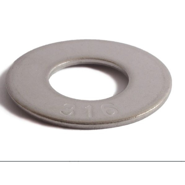 Ring Plate Stainless Washer SS316 M18