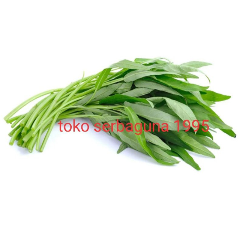 

sayur kangkung segar