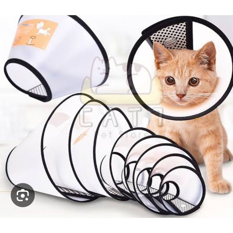 

collar kucing no7