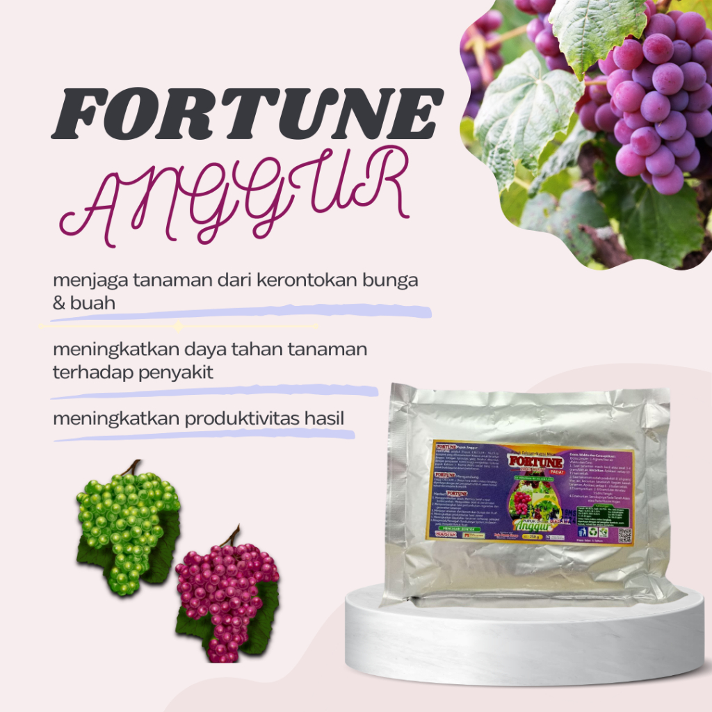 PUPUK ORGANIK PADAT, PUPUK BOOSTER ANGGUR