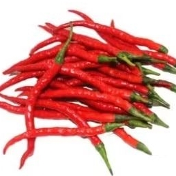 

lombok merah geriting 100 gram. lombok kriting. lombok keriting.