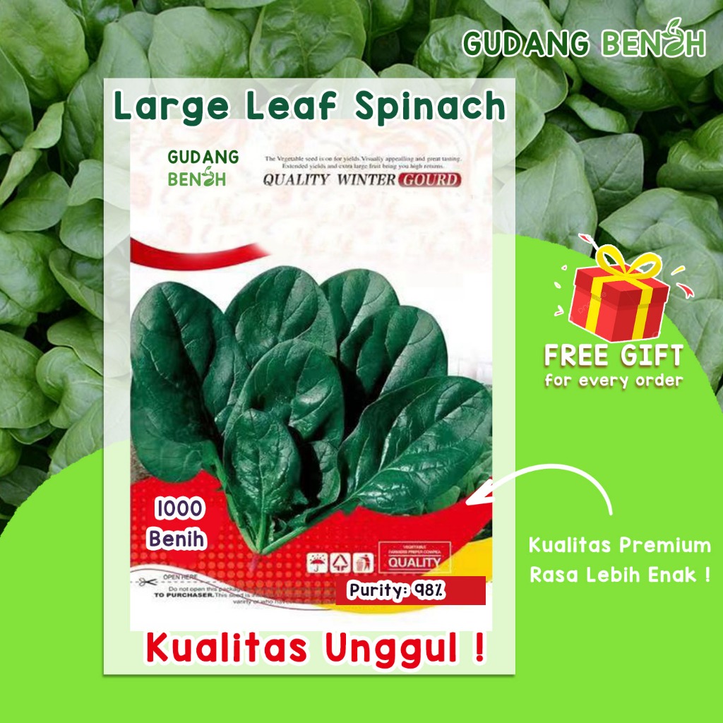 Bibit Sayur / Benih Sayuran / Bibit Bayam /  Large Leaf Spinach Import High Quality Isi 1000 Benih
