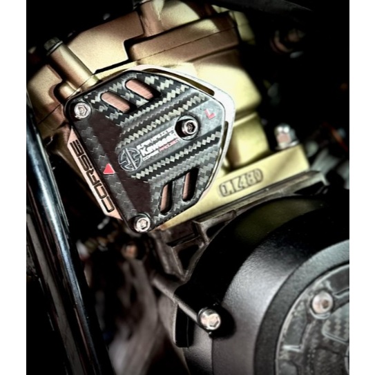 Cover superkips Ninja Ninja150 R RR by Corse Project