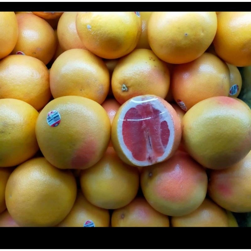 

jeruk grapefruit ruby jeruk diet import super 1kg