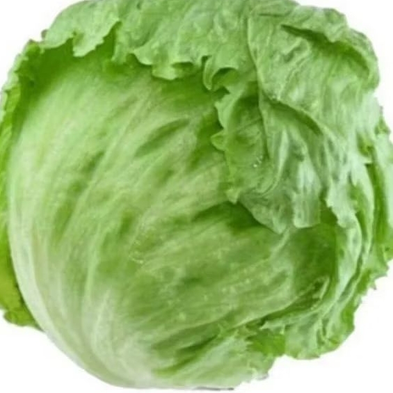 

letuce head 500gram