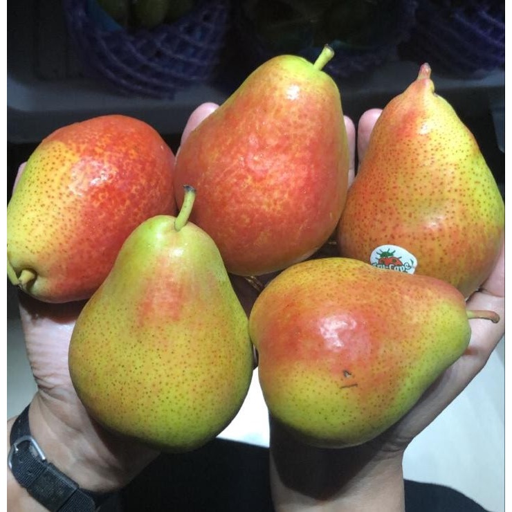 

Pear Forelle 1000gr Buah Import Segar Pilihan