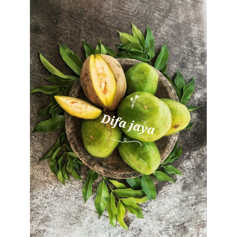 

Buah kedondong jumbo 1 kg