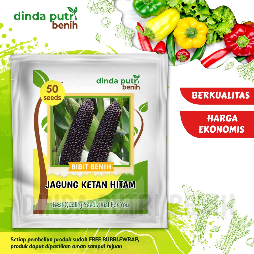 Benih Jagung Pulut Ketan Hitam super kemasan isi 50 biji benih jagung pulut ketan hitam